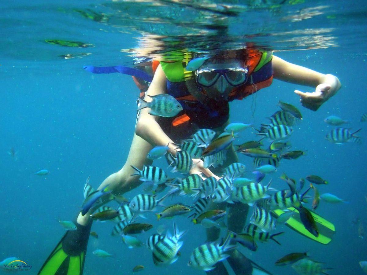 dia-diem-lan-ngam-san-ho-o-nha-trang
