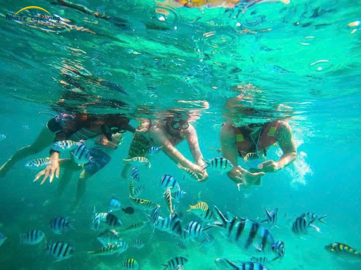 kinh nghiệm lặn biển nha trang