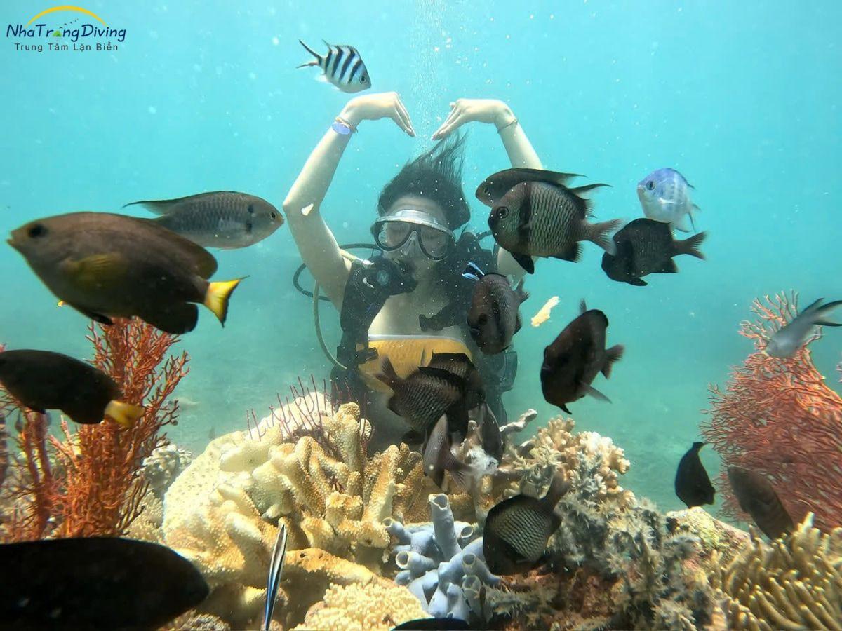 kinh nghiệm lặn biển nha trang