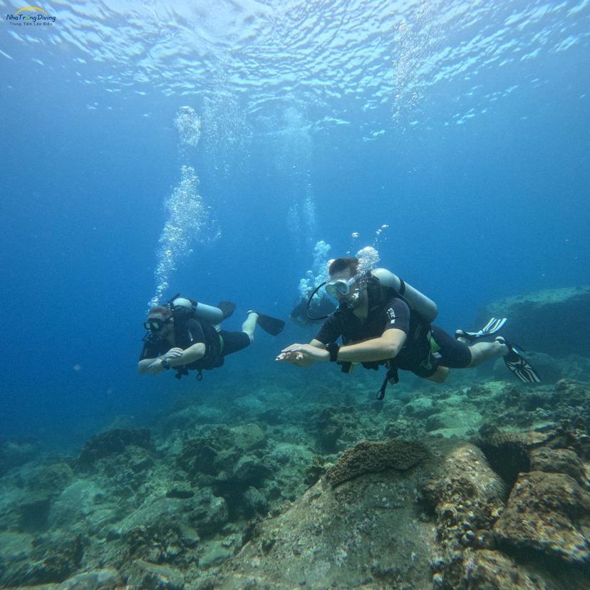 Kinh Nghiệm Lặn Biển Nha Trang