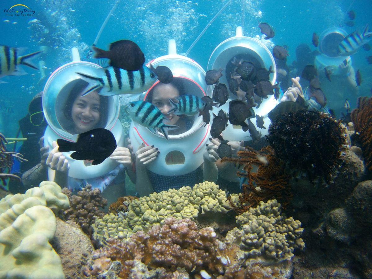 tour-di-bo-duoi-day-bien-nha-trang