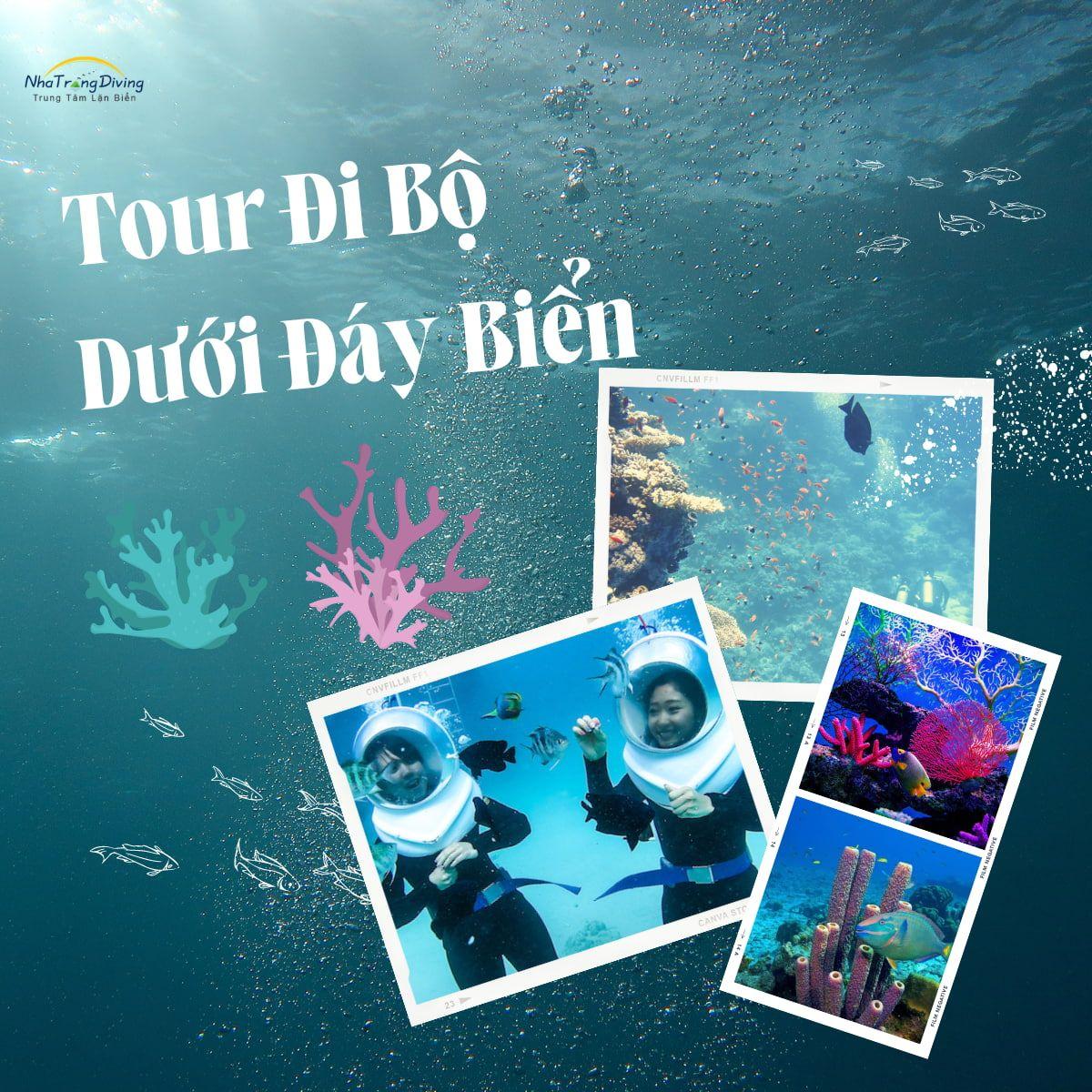 tour đi bộ dưới đáy biển nha trang