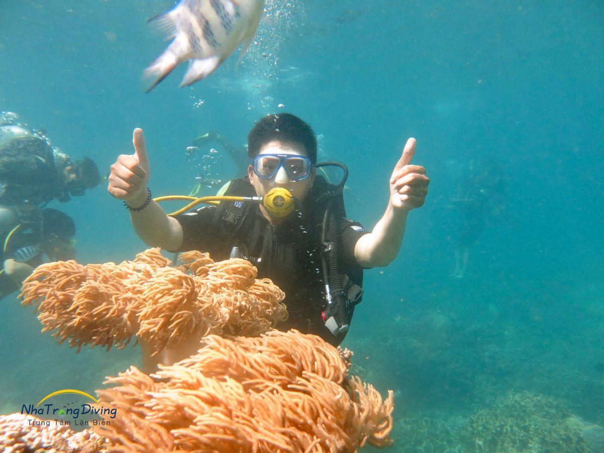 tour lặn biển kết hợp tham quan gành nhảy ninh vân