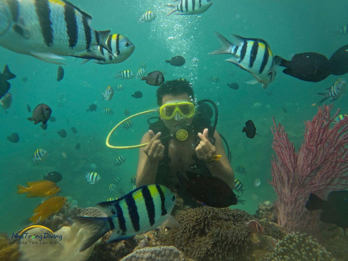 tour lặn biển kết hợp tham quan gành nhảy ninh vân