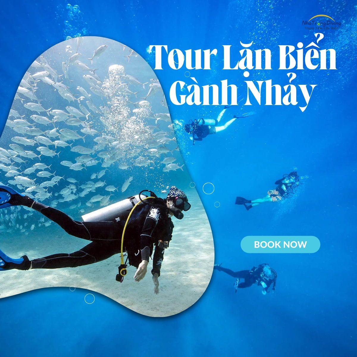 tour lặn biển kết hợp tham quan gành nhảy ninh vân