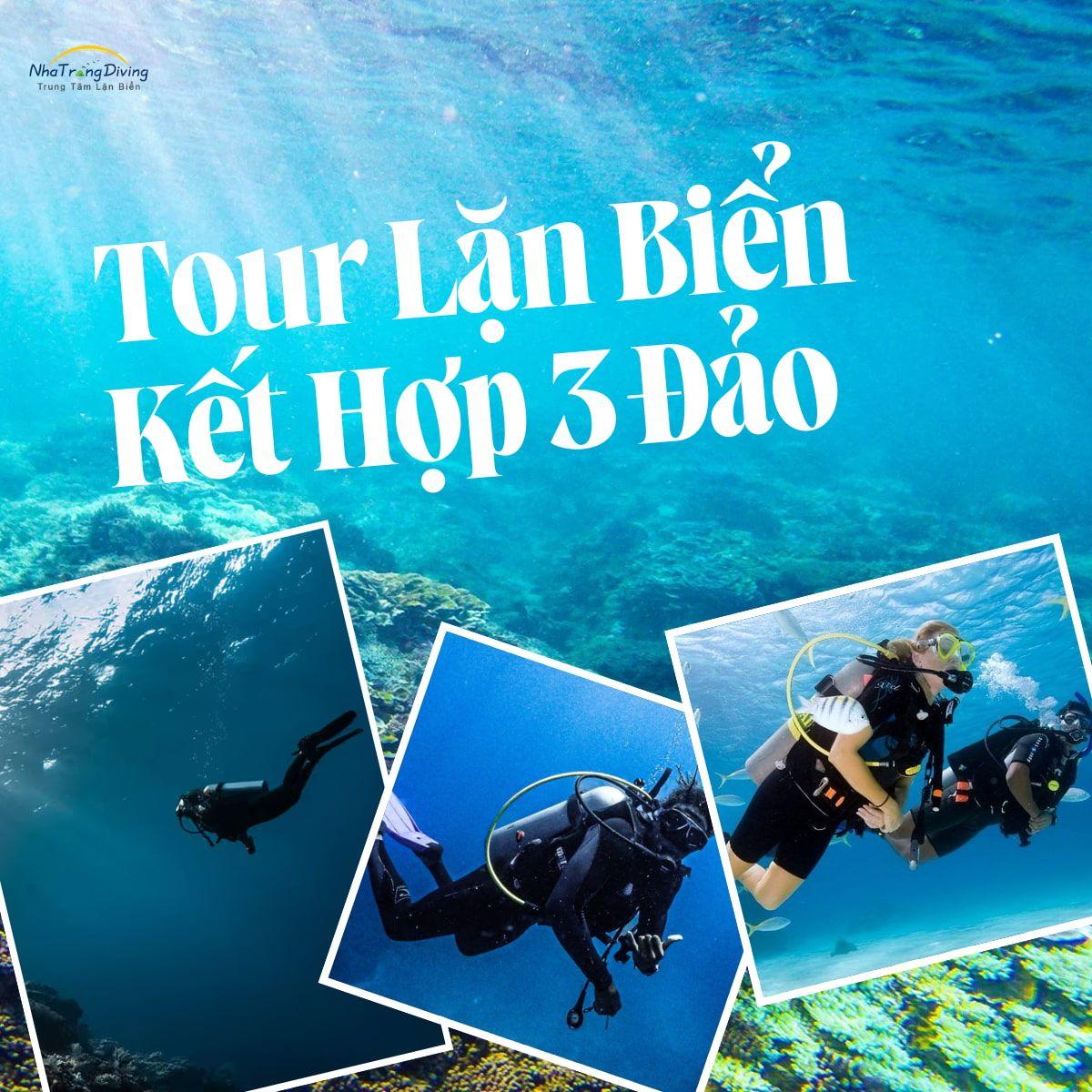 tour lặn biển kết hợp tham quan đảo