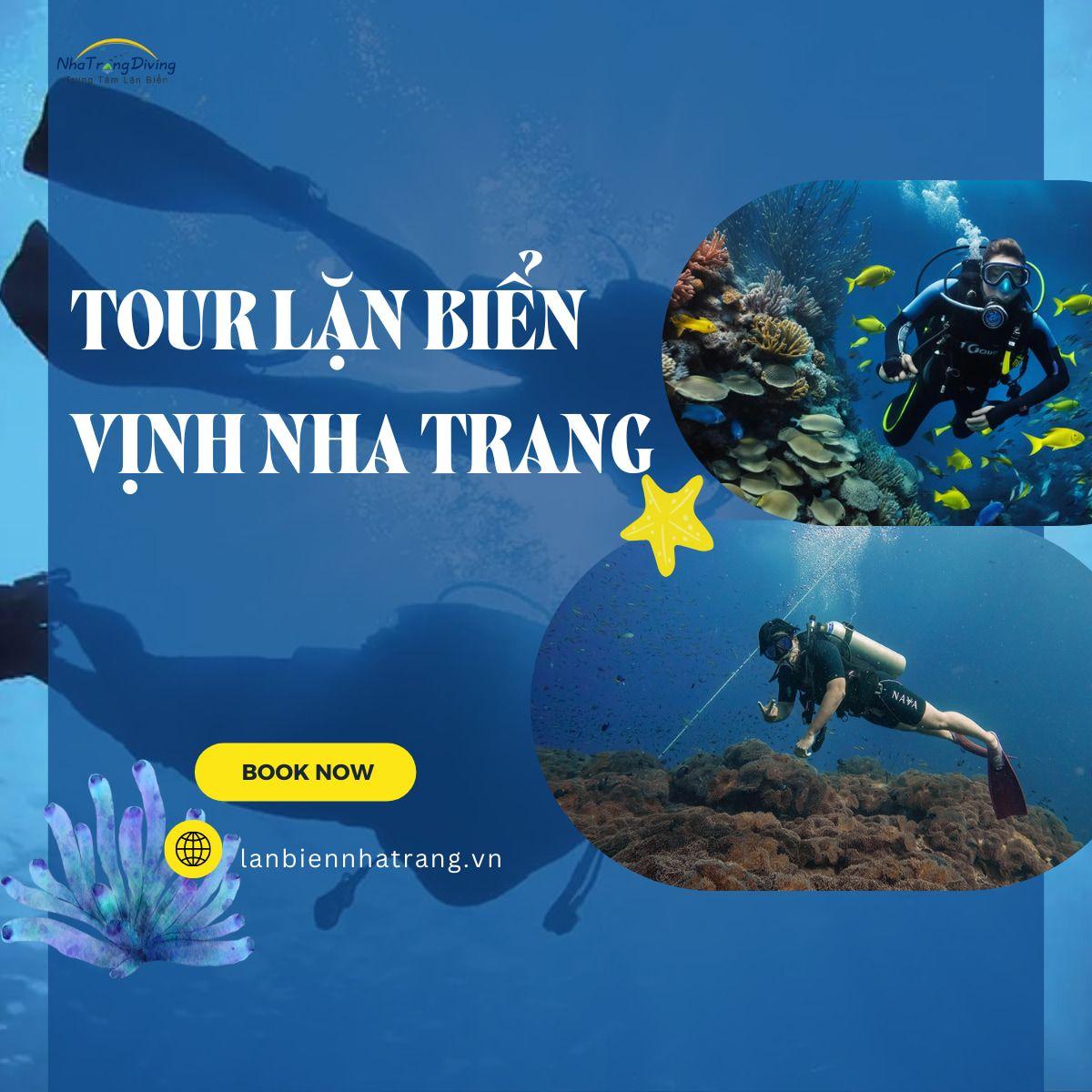 tour lặn biển vịnh nha trang