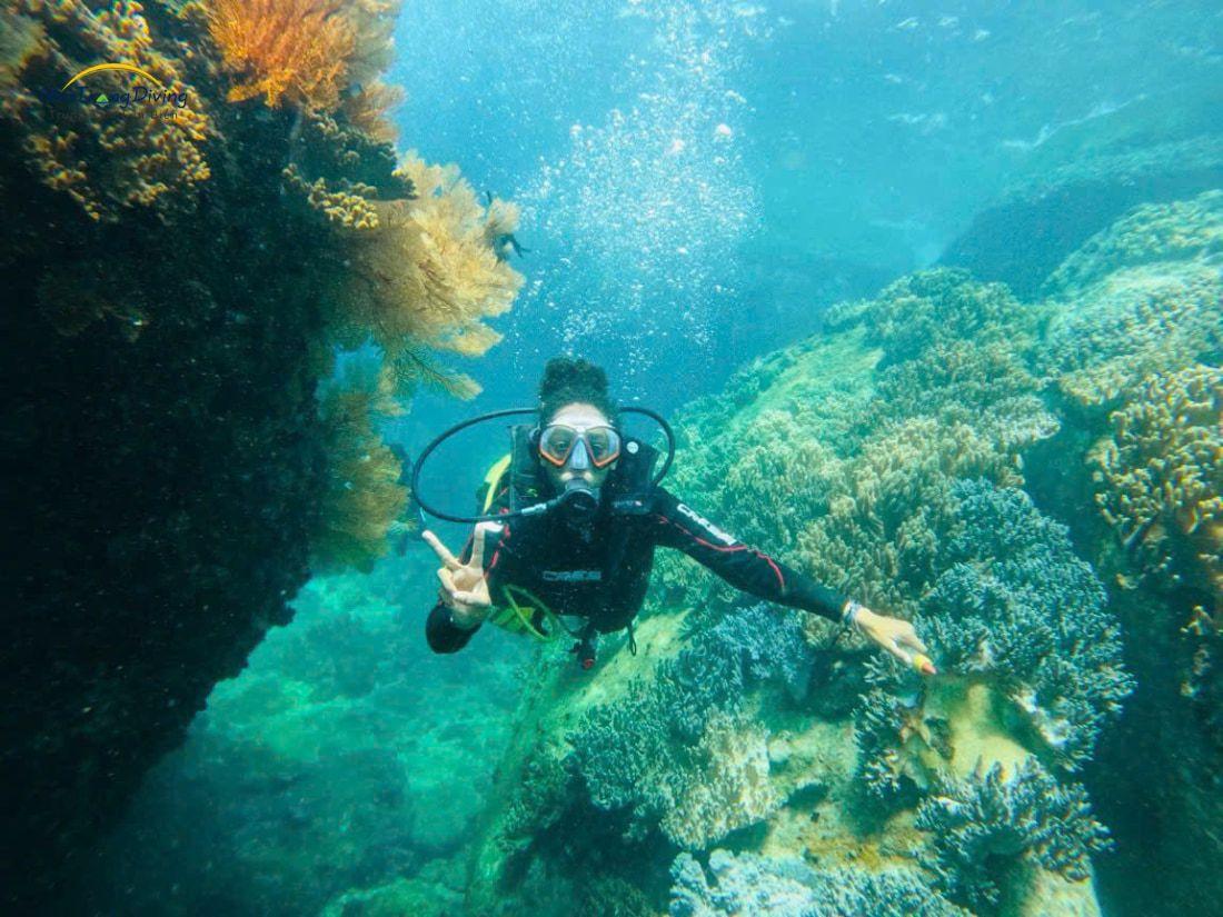 tour lặn biển vịnh vân phong