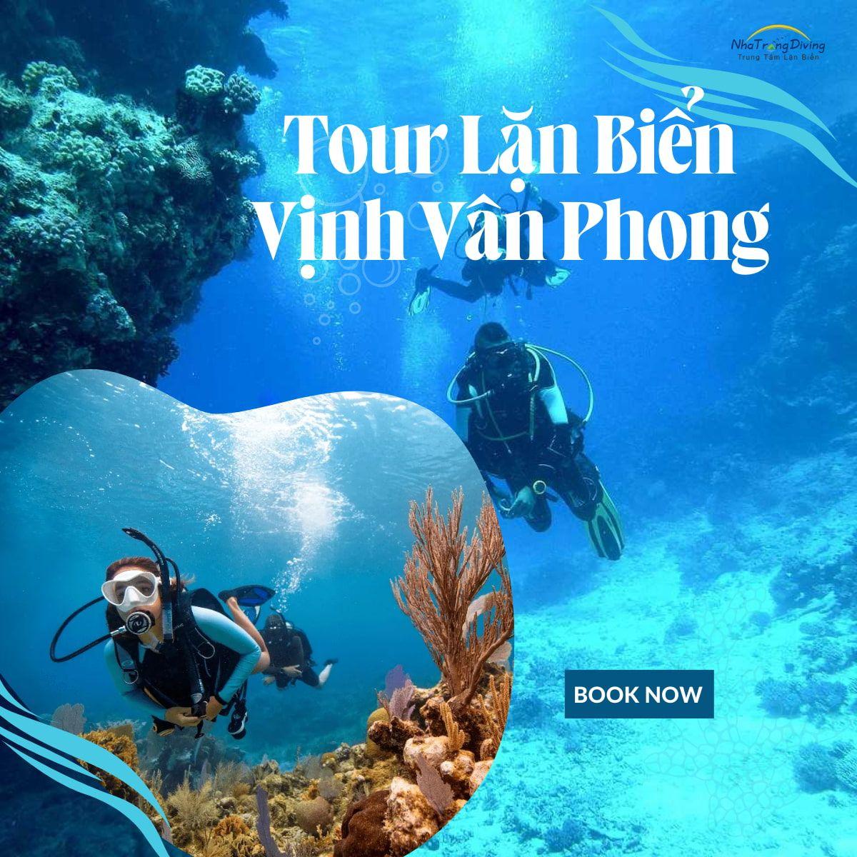 tour lặn biển vịnh vân phong