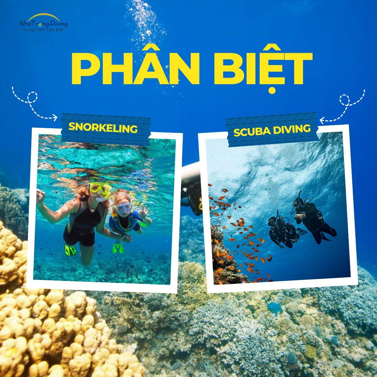 Phân Biệt Giữa Lặn Snorkeling Và Scuba Diving Nha Trang