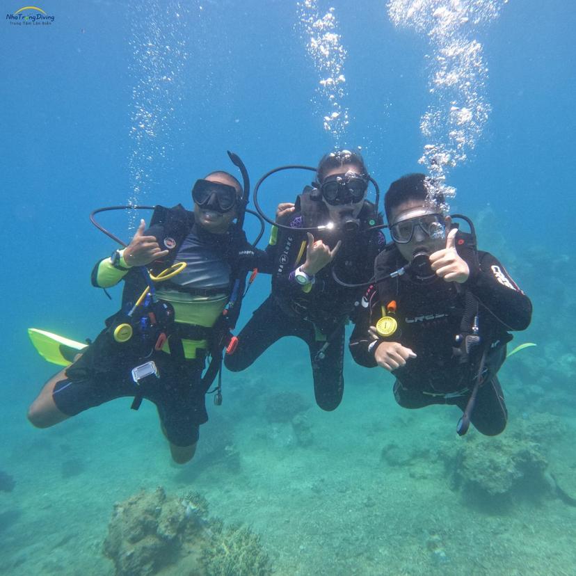 Vì sao nên chọn TOUR LẶN tại Nha Trang Diving?