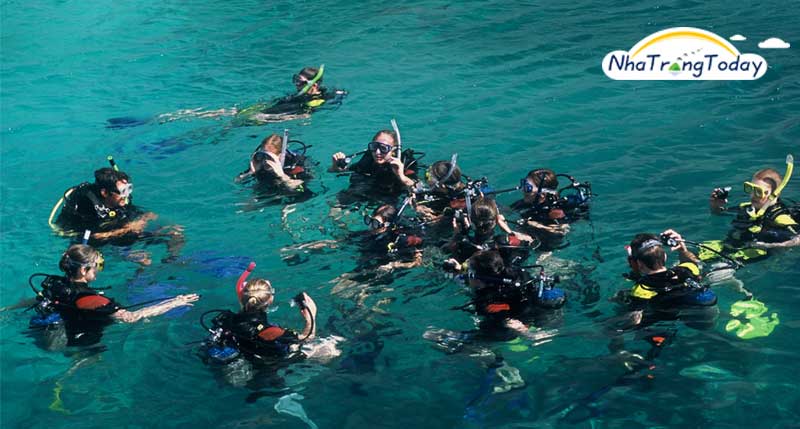 Vì sao nên chọn tour lặn biển tại Nha Trang Diving?